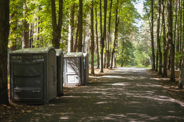 Best Root Management and Removal  in Stoneville, NC